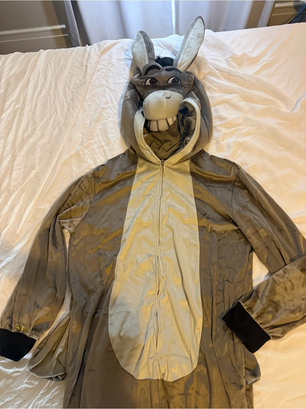 Halloween Dragon and Donkey Costumes from Shrek!